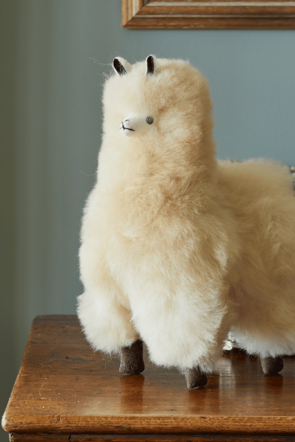 Baby Alpaca Fur Collectable – Champagne